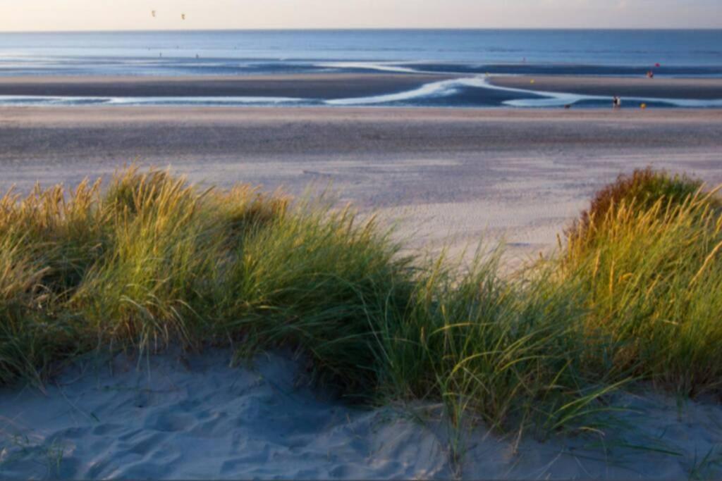 Studio Cosy En Bord De Mer Dunkirk ภายนอก รูปภาพ